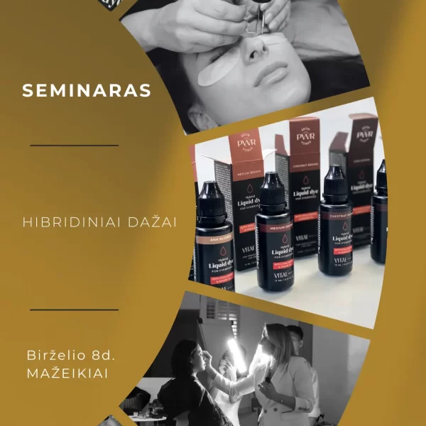 Hibridinių dažų seminaras