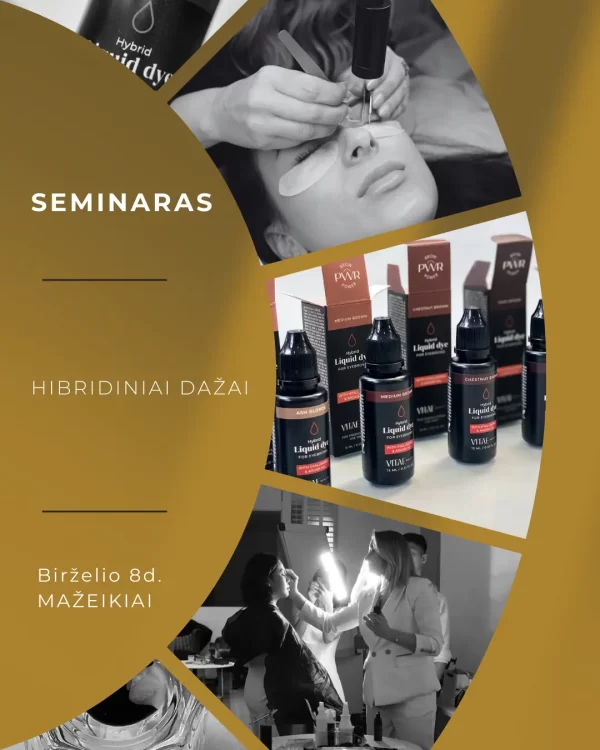 Hibridinių dažų seminaras